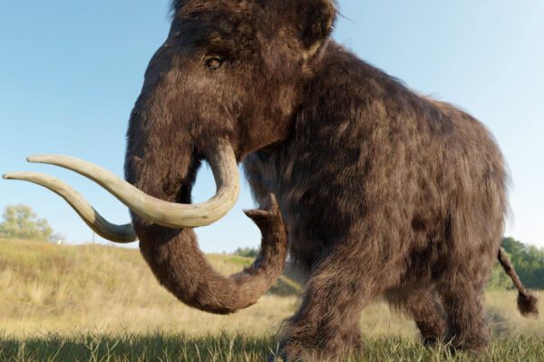 In an Attempt to Bring Mammoths Back to Life, Scientists Create a Strange Creature